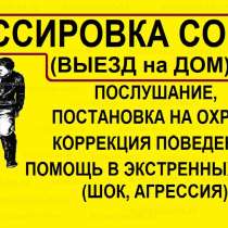 Услуги кинолога, в Калуге