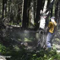 Удаление деревьев, в Наро-Фоминске