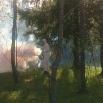 Уничтожение клещей и комаров на участках Сергиев Посад, в Сергиевом Посаде
