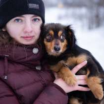 Маленькая собачка в добрые руки!, в г.Москва
