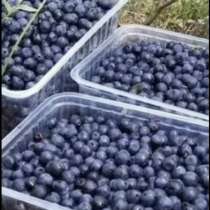 Черника свежая, в Москве