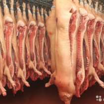 Мясо свинины с Краснодарского края, в Усинске