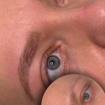 Бровист, в Норильске