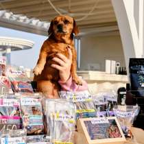 Супер Фуд, в Анапе