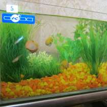 Продам аквариум с рыбками и улитками в комплекте, в Набережных Челнах