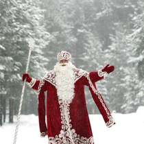 Дед Мороз И снегурочка на дом, в Вологде