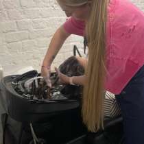 Обучение Кератин ботокс холодное восстановление, в Москве