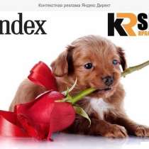 Контекстная реклама Яндекс Директ и Google Adwords, в Краснодаре
