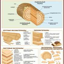 Деревообработка. Плакаты учебные, в г.Минск