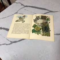 Книга птица чечевица, в Вешенской