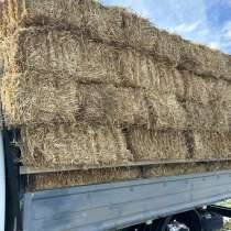 На место пшеничная 120₽ и доставка тоже есть!!!, в Грозном