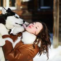 Черно-белые голубоглазые и разноглазые щенки хаски, в Вологде