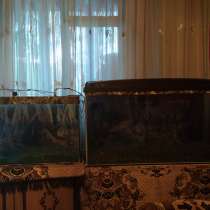 Продаются аквариумы, в Таганроге