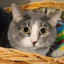 Предусмотрительный Стенли мечтает довериться семье, в Москве