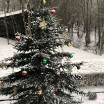 Примите в дар, в Санкт-Петербурге