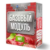 Права перепродажи + Базовый Модуль годовой программы МИТ, в Ростове-на-Дону