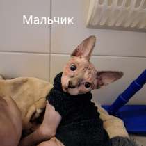 Милые малыши, в г.Берлин
