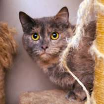 Миссури ждёт встречи с особенным человеком, в Москве