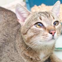 О чём мечтает Лионель Месси, в Москве