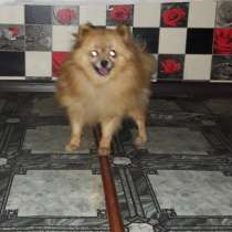 Улыбчивая малышка, в Москве