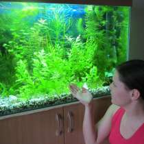 Продам аквариум (170 л, комплект), в Санкт-Петербурге