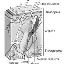 Шугаринг подмышек всего 7 минут, в Барнауле