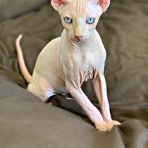 Малыш эльф Male elf cream, в Москве