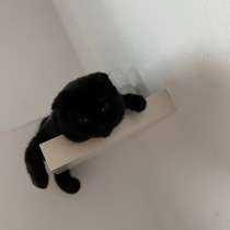 Кот, в Березовский