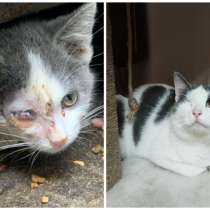 ПОЖАЛУЙСТА, НЕ ПРОХОДИТЕ МИМО!!!, в г.Минск