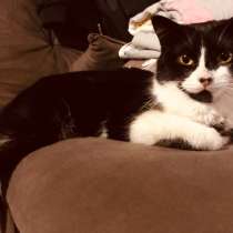 В добрые руки ❤️, в Воткинске