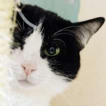 Вдумчивая Луиса мечтает встретить родную душу, в Москве