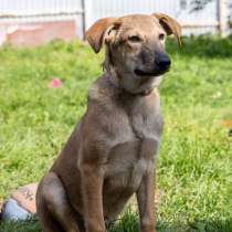 Сироте Марселю нужен дом, в Москве