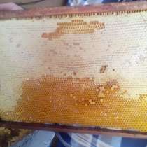 Мед в сотах на корпусной рамке, в Оренбурге