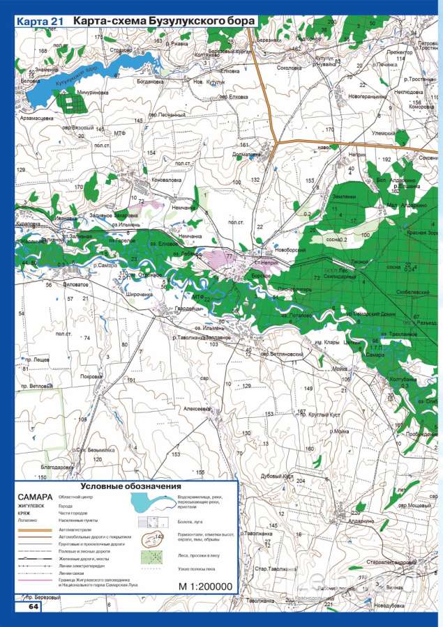 Бузулукский бор карта кварталов